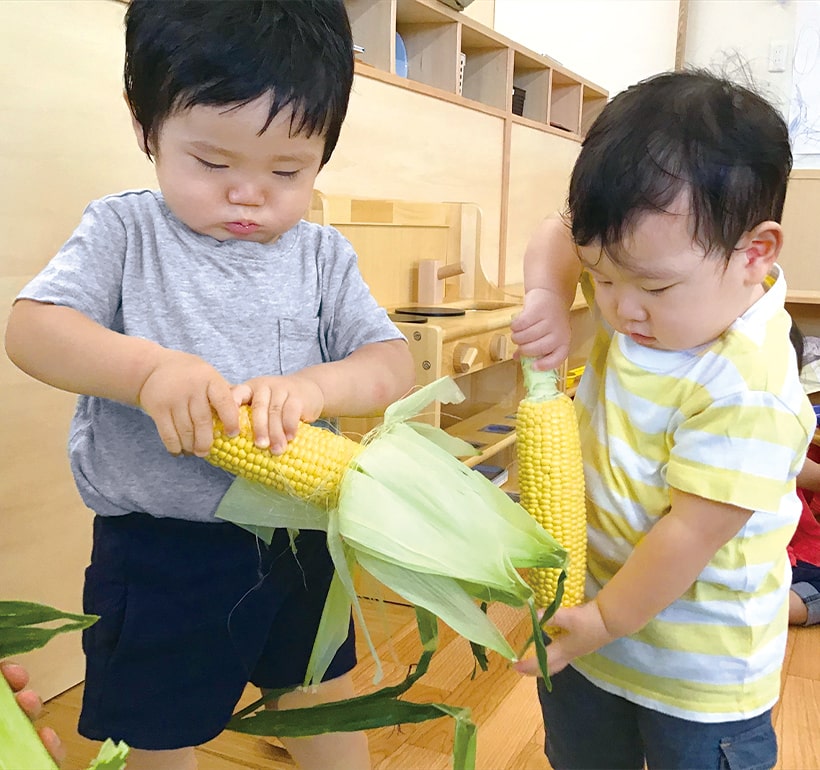 子ども2人がとうもろこしをさわる様子